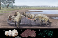 El yacimiento orcense de Fuente Nueva-3: ¿Una letrina de hienas en arenas movedizas?