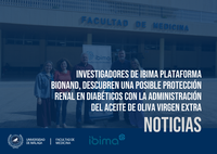 Investigadores de IBIMA Plataforma BIONAND, descubren una posible protección renal en diabéticos con la administración del aceite de oliva virgen extra