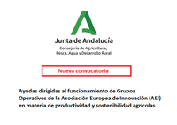 Convocatoria de ayudas a Grupos Operativos de la AEI en materia de productividad y sostenibilidad agrícola
