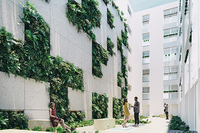 Estudiantes de Arquitectura ganan el Darya Art Community al mejor diseño de patio con jardín vertical