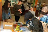 La UMA se suma a la celebración del Día Mundial de la Salud con el reparto de 150 kilos de fruta