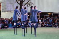 Mulïer, interpretado por cinco bailarinas sobre zancos, sorprende en el césped del Contenedor Cultural