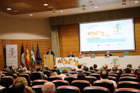 El II Congreso Andaluz de Derecho Sanitario reúne a más de un centenar de profesionales de la medicina y el ámbito jurídico