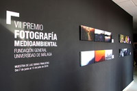 El VII Premio de Fotografía Medioambiental de la FGUMA recae en la obra "La luz de Málaga", de Francisco M. Godoy