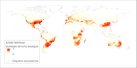 Publicado el primer mapa de distribución de la 'Xylella fastidiosa'