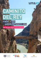 9 NOV | CAMINITO DEL REY