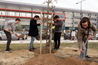 La UMA comienza el año plantando árboles en el Campus de Teatinos