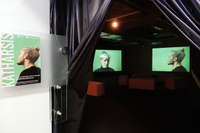 Miguel Azuaga expone en Bellas Artes la videoinstalación ‘Katharsis’