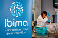 IBIMA incrementa su producción científica y se refuerza como instituto de investigación sanitaria
