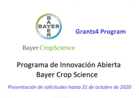 Programa de Innovación Abierta de Crop Sience Bayer