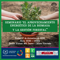 Seminario: El aprovechamiento energético de la biomasa y la gestión forestal