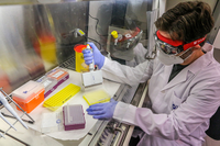La Consejería de Salud y la UMA firman un convenio para la realización de pruebas PCR
