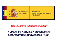 Convocatoria extraordinaria 2021 de ayudas para Agrupaciones Empresariales Innovadoras  