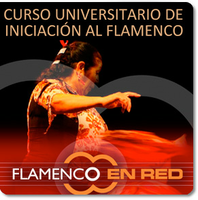 FLAMENCO EN RED