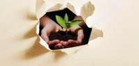 Programa GreenEconomy Málaga, para mejorar la sostenibilidad de las empresas