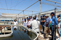 Investigadores de la UMA visitan la estación experimental ‘Las Palmerillas’ ubicada en El Ejido