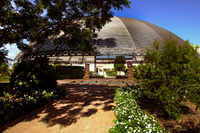 Una imagen del Jardín Botánico de la UMA