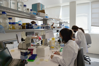 Investigadoras trabajando en un laboratorio de la Universidad