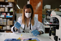 La investigadora Inés Moreno, autora de este estudio, en un laboratorio de la Facultad de Ciencias 