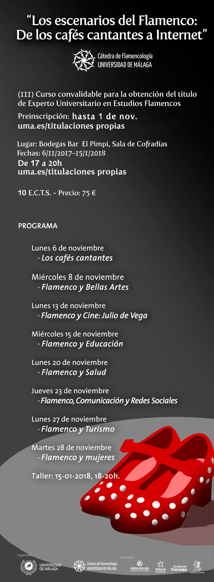 programacion curso flamenco