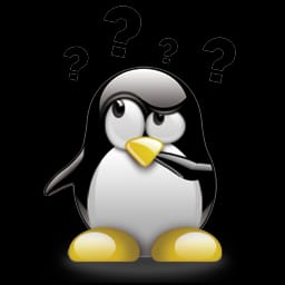 Pinguino_Tomas