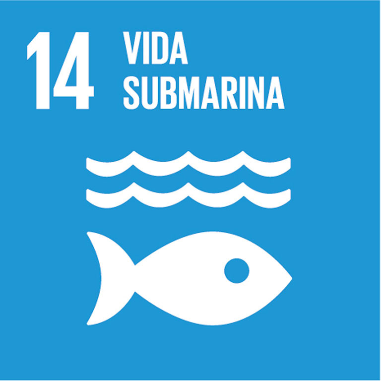 ODS 14 - Vida submarina