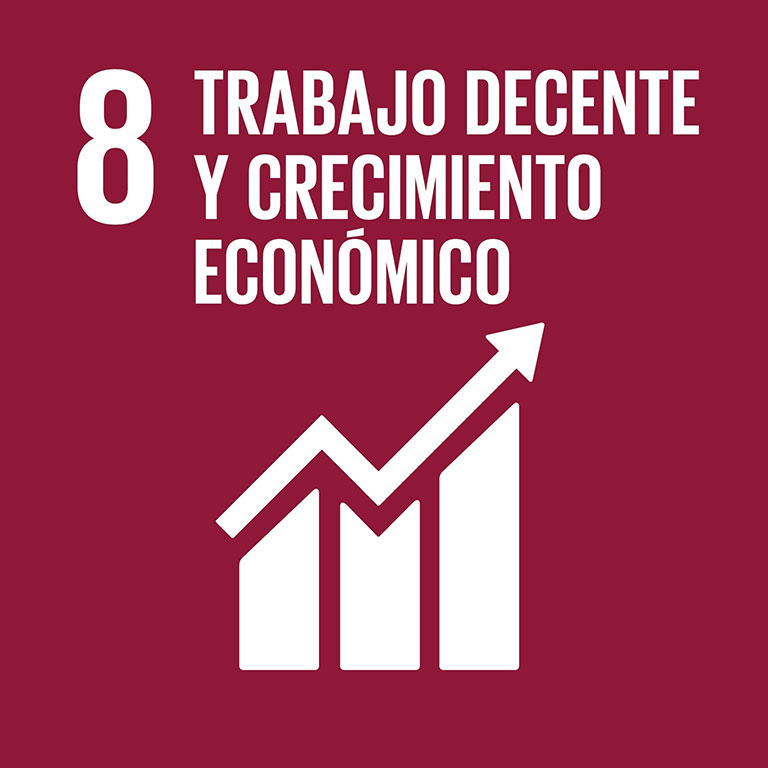 ODS 8 - Trabajo decente y crecimiento económico