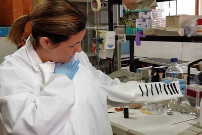 La investigadora Susana Guzmán con un prototipo de e-textile, en un laboratorio de la Facultad de Ciencias