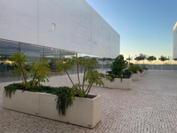 Exteriores Facultad de Psicología y Logopedia