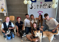 Suppet, la plataforma de bienestar emocional con origen en la Facultad de Marketing y Gestión