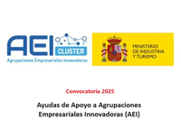 Convocatoria 2025 de Ayudas a las Agrupaciones Empresariales Innovadoras (AEI)