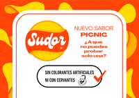 PICNIC SUDOR/ Viernes 9 de junio