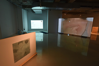 La Sala Chema Cobo inaugura la exposición 'La próxima vez será'