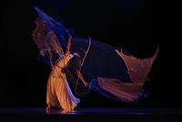 MARTA U / COMPAÑÍA EN-GRANAJE DANZA