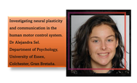 Conferencia: Investigating neural plasticity and communication in the human motor control system