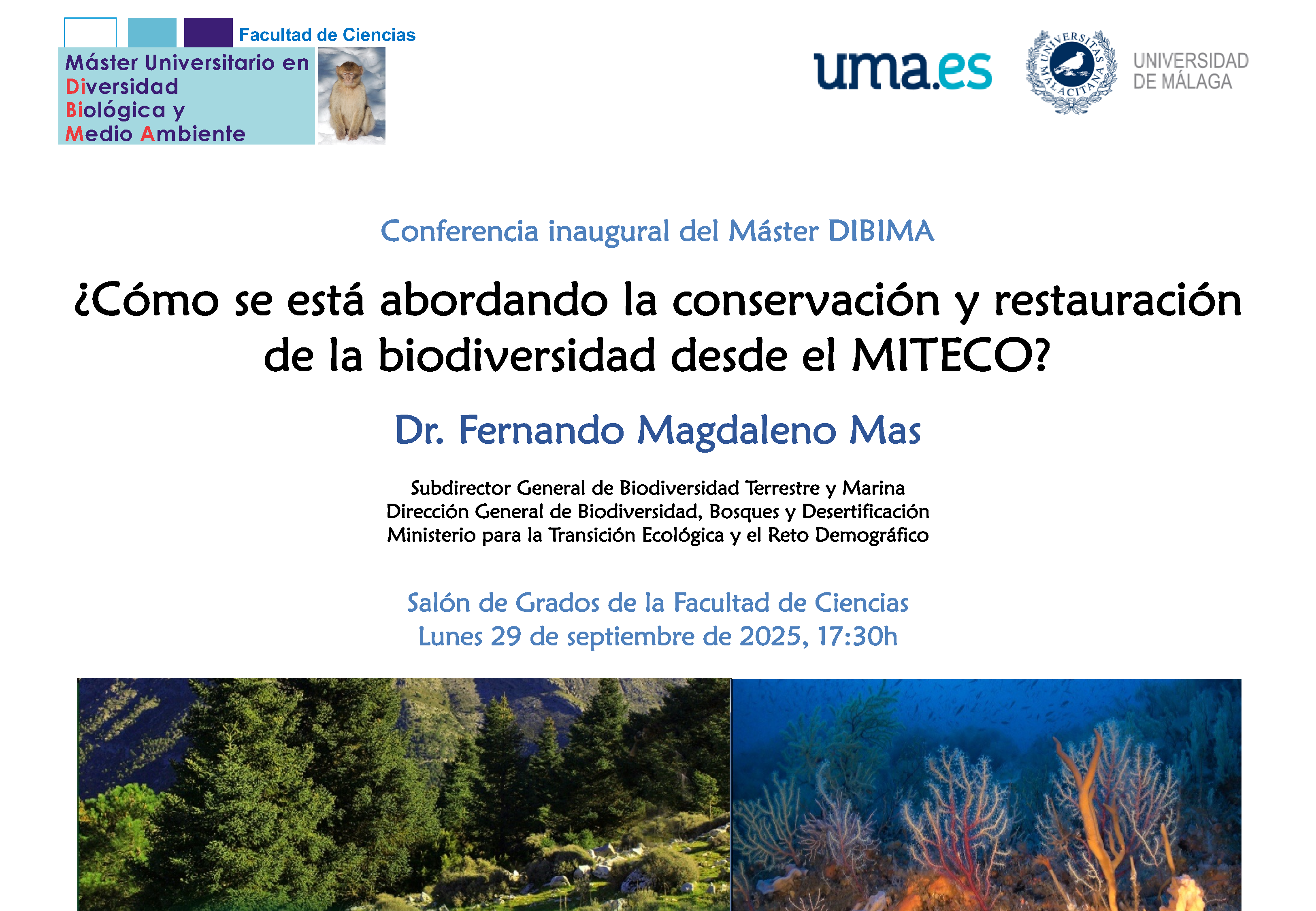 noticia1