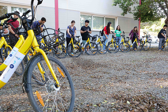 La UMA entrega 40 bicicletas del programa ‘Muévete en verde’