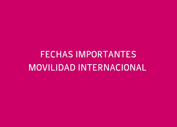 noticia1