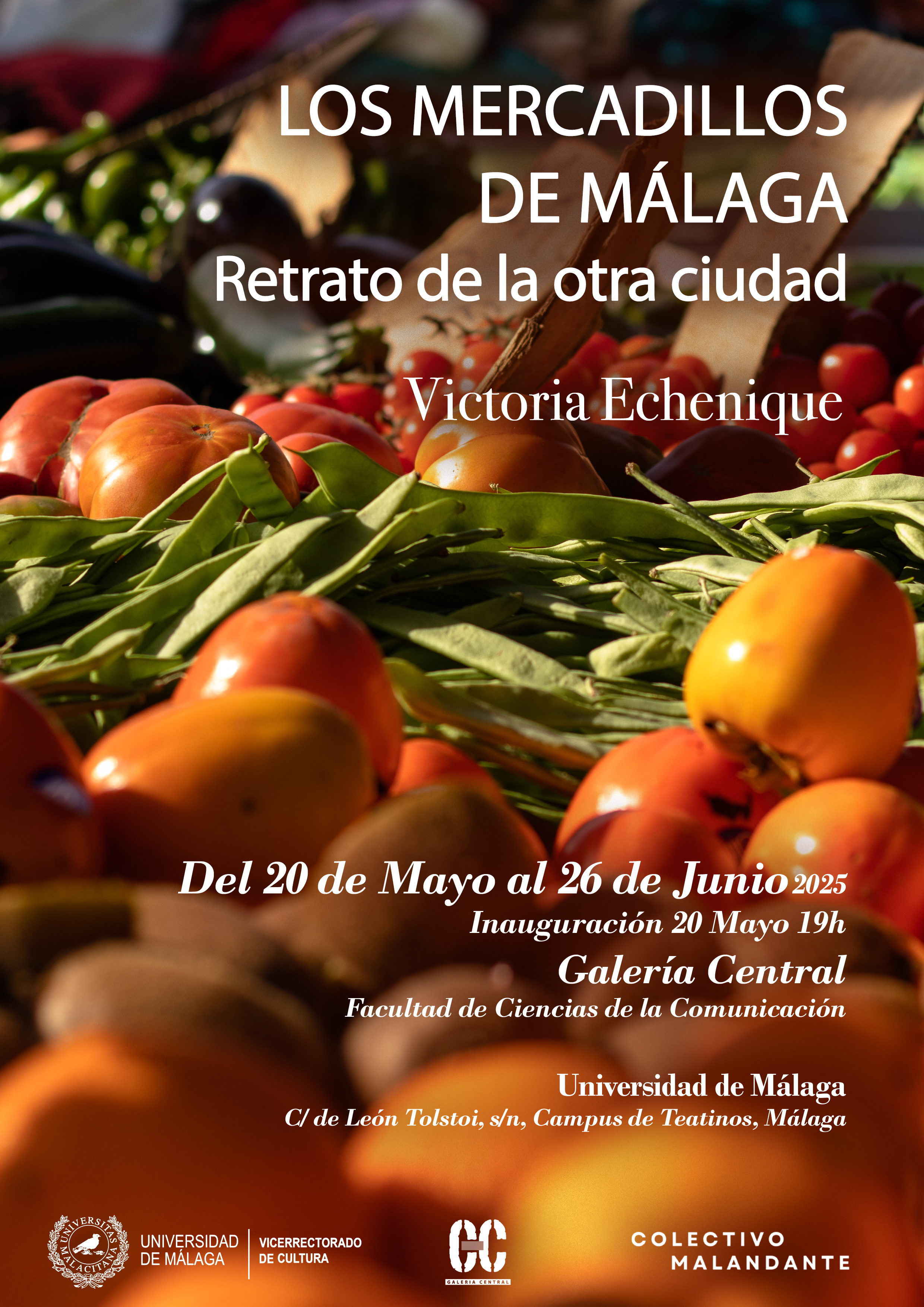 noticia1