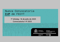 Primer Infoday Convocatoria I+P 2025