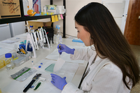 La UMA se consolida como la universidad andaluza con mayor captación relativa de fondos del Plan Nacional de Investigación