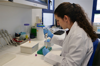 La Universidad de Málaga contratará a siete jóvenes investigadores en formación predoctoral