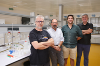 Descubren moléculas fluorescentes que brillan en agua y permiten ver mejor nuestras células