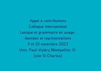 Lexique et grammaire en usage : données et représentations