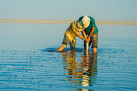 Un estudio muestra que la reinundación del mar de Aral podría evitar emisiones masivas de dióxido de carbono