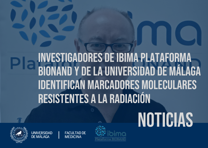 noticia1