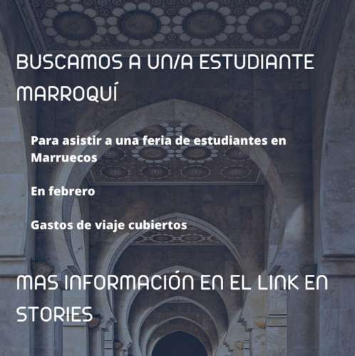noticia1