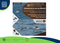 Cetáceos en el Mar de Alborán [ODS]