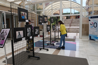 'DePaso. Espacio Letras', nuevo entorno expositivo de la Facultad de Filosofía y Letras