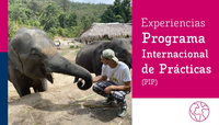 Experiencia de Rafael Garrido en Tailandia con un Programa Internacional de Prácticas